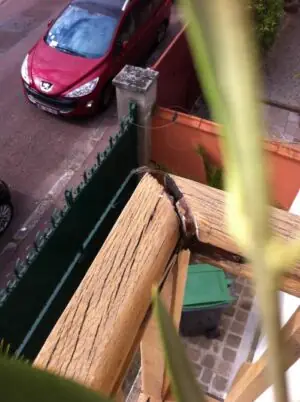 Garde-corps Robien avant travaux détail