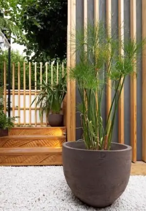 Pergola jardin de ville